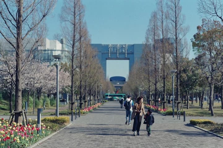 並木道と奥の建物