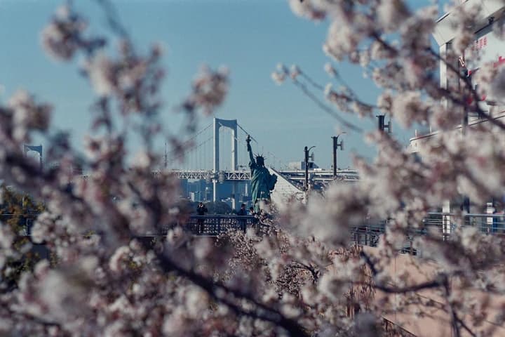 桜の枝越しに見える街