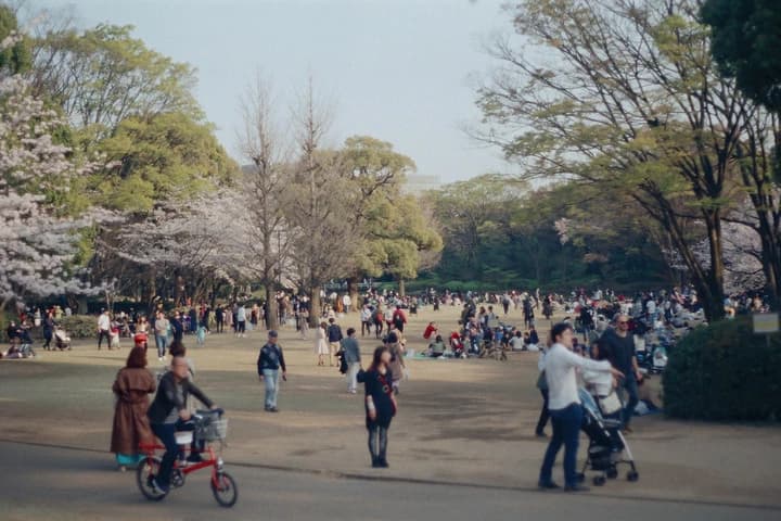 木々に囲まれた広場の人たち