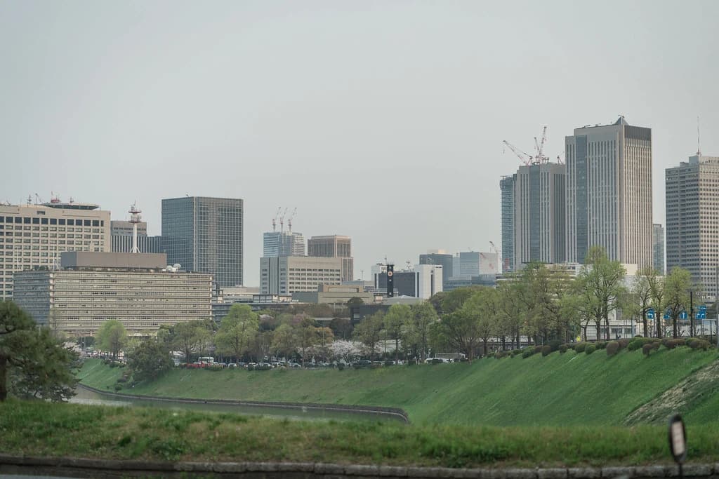 緑の土手と川沿いの建物