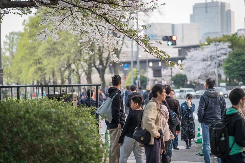 花のある歩道の人たち